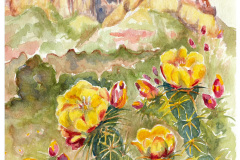 JunipoerCanyonChollas.4x6.dark_